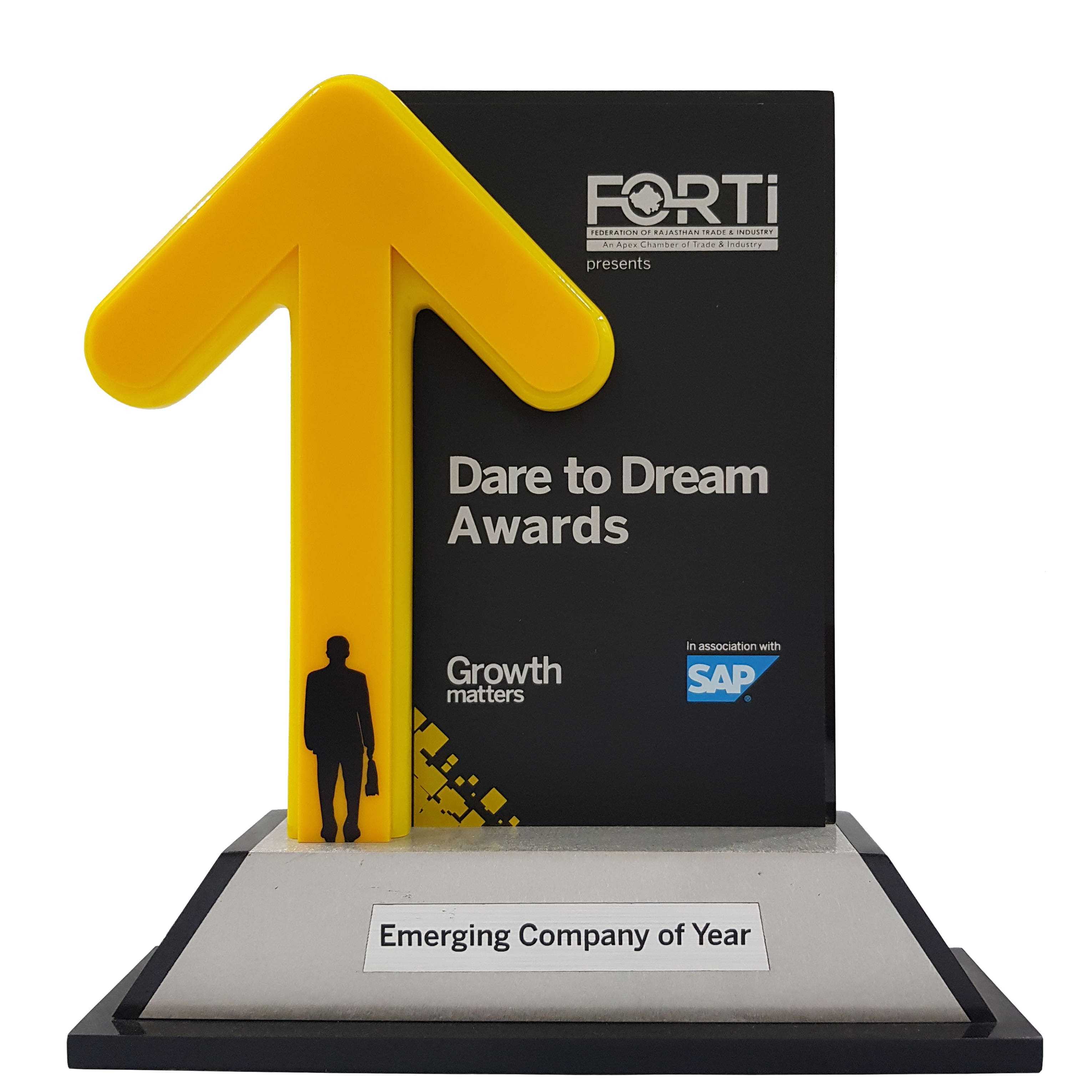 Emering Company of Year Award by SAP